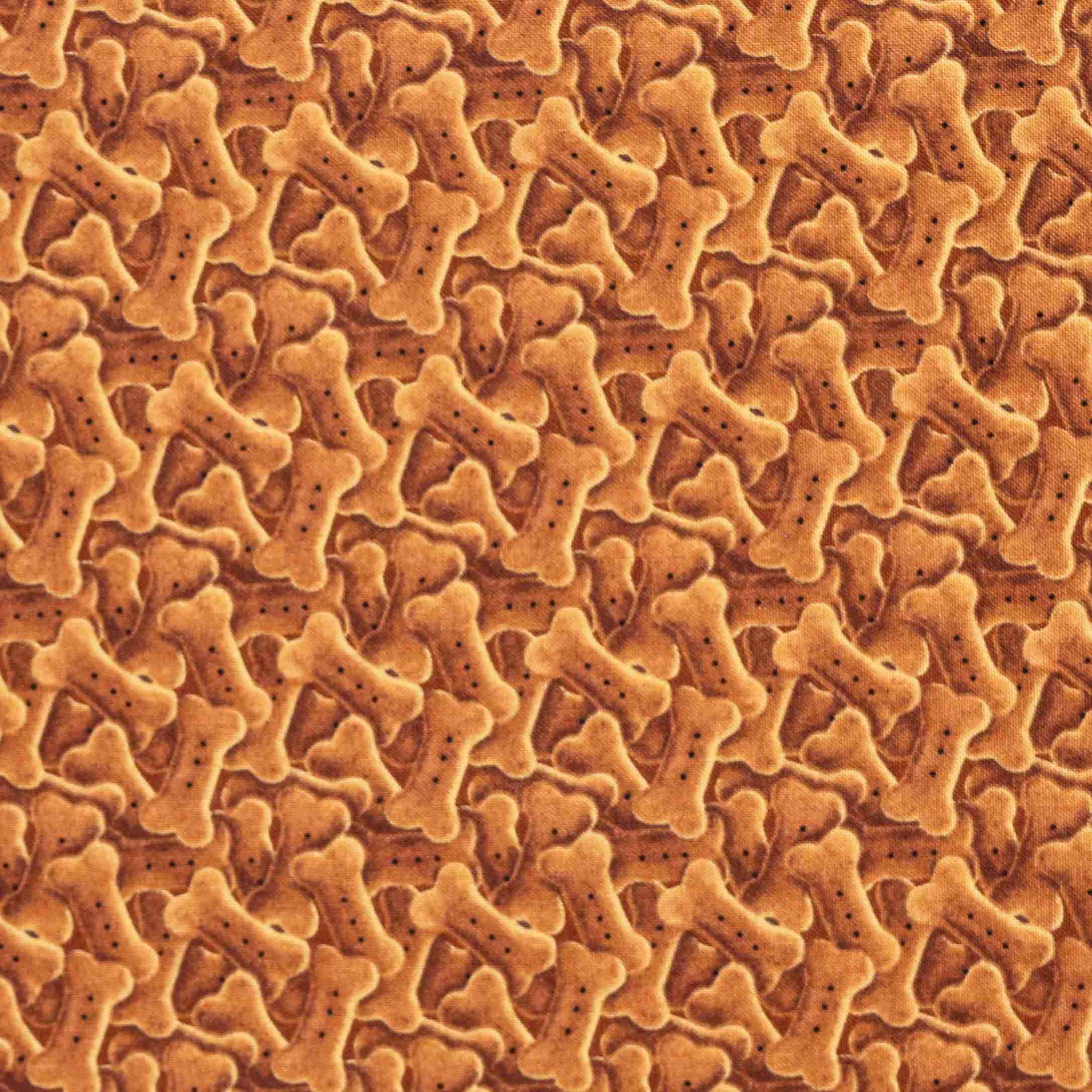 Off The Leash - Image 1